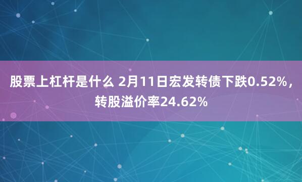 股票上杠杆是什么 2月11日宏发转债下跌0.52%，转股溢价率24.62%
