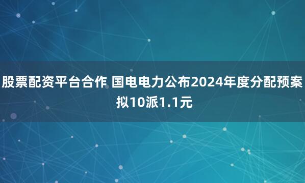 股票配资平台合作 国电电力公布2024年度分配预案 拟10派1.1元