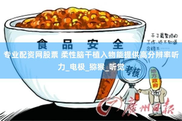 专业配资网股票 柔性脑干植入物能提供高分辨率听力_电极_猕猴_听觉