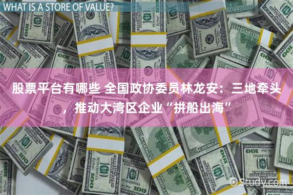 股票平台有哪些 全国政协委员林龙安：三地牵头，推动大湾区企业“拼船出海”