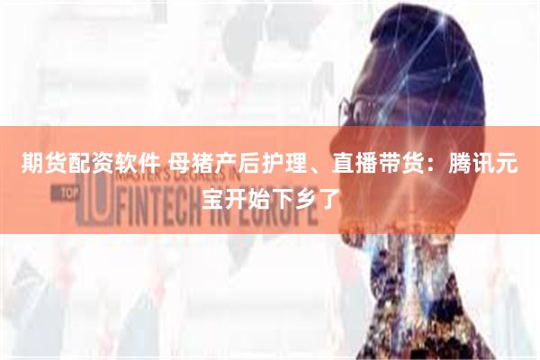 期货配资软件 母猪产后护理、直播带货：腾讯元宝开始下乡了