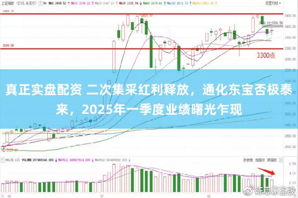 真正实盘配资 二次集采红利释放，通化东宝否极泰来，2025年一季度业绩曙光乍现