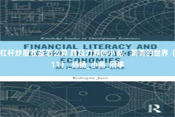 杠杆炒股收益怎么算 聂延力原创小说：菁菁的世界（11）_扬扬_小燕_同事