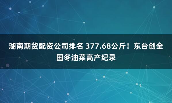 湖南期货配资公司排名 377.68公斤！东台创全国冬油菜高产纪录