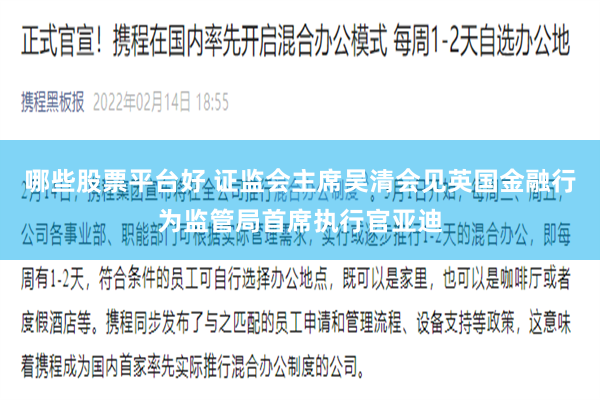 哪些股票平台好 证监会主席吴清会见英国金融行为监管局首席执行官亚迪