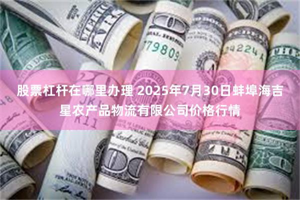 股票杠杆在哪里办理 2025年7月30日蚌埠海吉星农产品物流有限公司价格行情