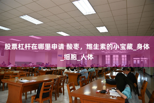 股票杠杆在哪里申请 酸枣，维生素的小宝藏_身体_细胞_人体