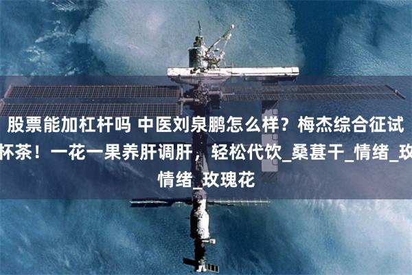 股票能加杠杆吗 中医刘泉鹏怎么样？梅杰综合征试试这杯茶！一花一果养肝调肝，轻松代饮_桑葚干_情绪_玫瑰花