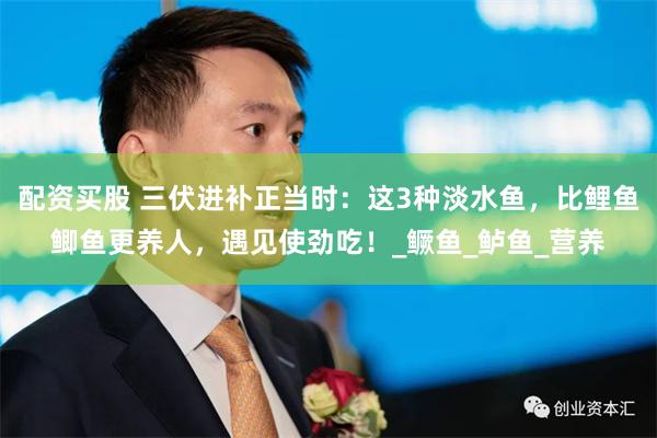 配资买股 三伏进补正当时：这3种淡水鱼，比鲤鱼鲫鱼更养人，遇见使劲吃！_鳜鱼_鲈鱼_营养