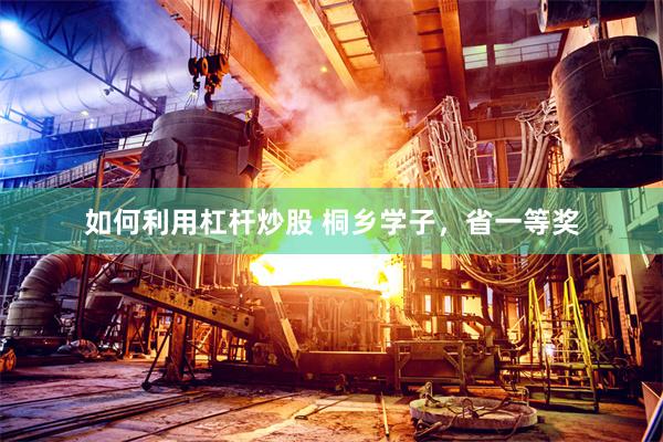 如何利用杠杆炒股 桐乡学子，省一等奖