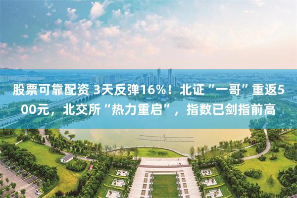 股票可靠配资 3天反弹16%！北证“一哥”重返500元，北交所“热力重启”，指数已剑指前高