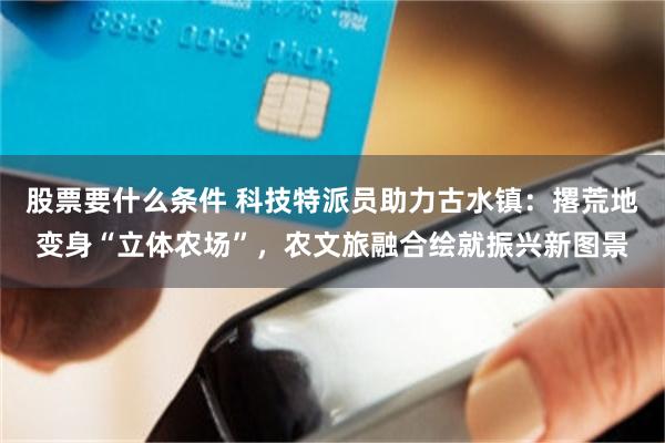 股票要什么条件 科技特派员助力古水镇：撂荒地变身“立体农场”，农文旅融合绘就振兴新图景