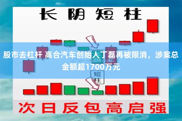 股市去杠杆 高合汽车创始人丁磊再被限消，涉案总金额超1700万元