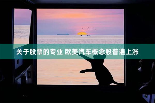 关于股票的专业 欧美汽车概念股普遍上涨