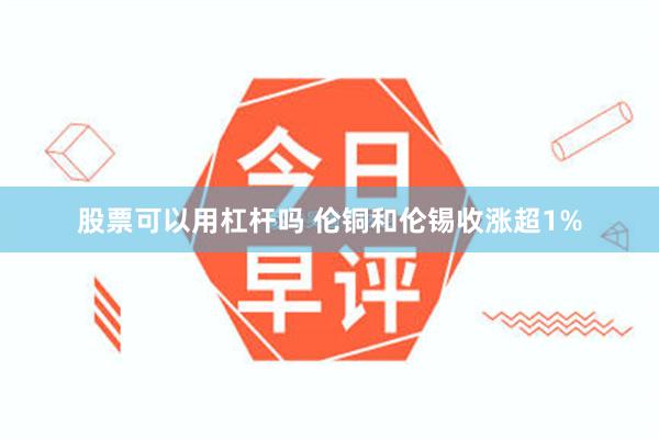股票可以用杠杆吗 伦铜和伦锡收涨超1%