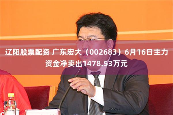 辽阳股票配资 广东宏大（002683）6月16日主力资金净卖出1478.53万元
