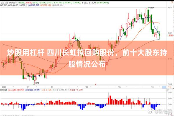 炒股用杠杆 四川长虹拟回购股份，前十大股东持股情况公布