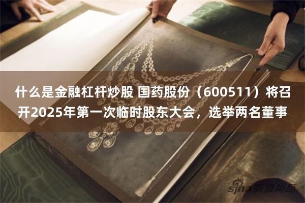 什么是金融杠杆炒股 国药股份（600511）将召开2025年第一次临时股东大会，选举两名董事