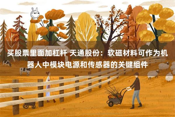 买股票里面加杠杆 天通股份：软磁材料可作为机器人中模块电源和传感器的关键组件