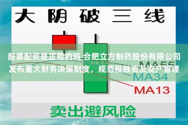 股票配资是正规的吗 合肥立方制药股份有限公司发布重大财务决策制度，规范投融资及资产管理