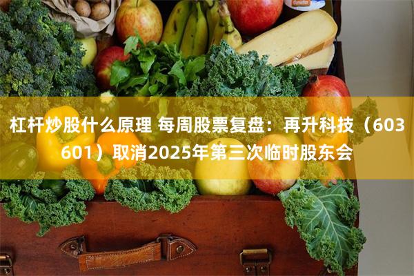 杠杆炒股什么原理 每周股票复盘：再升科技（603601）取消2025年第三次临时股东会