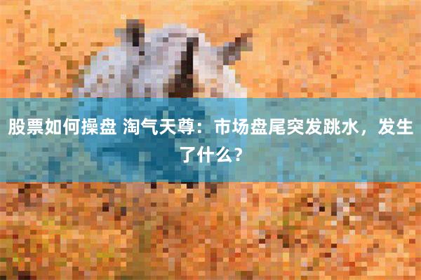 股票如何操盘 淘气天尊：市场盘尾突发跳水，发生了什么？
