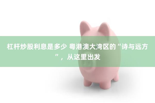杠杆炒股利息是多少 粤港澳大湾区的“诗与远方”，从这里出发