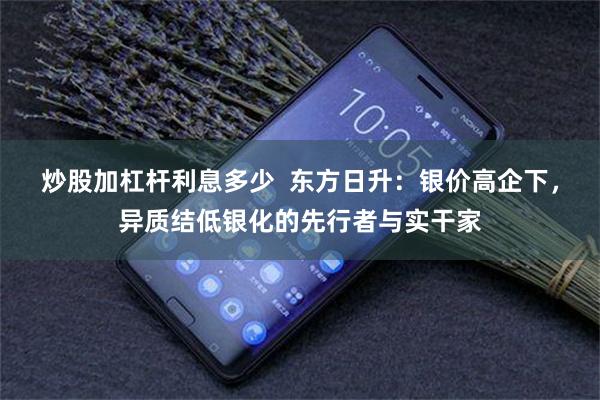 炒股加杠杆利息多少  东方日升：银价高企下，异质结低银化的先行者与实干家