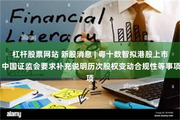 杠杆股票网站 新股消息 | 粤十数智拟港股上市 中国证监会要求补充说明历次股权变动合规性等事项