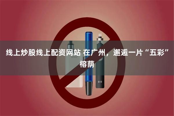 线上炒股线上配资网站 在广州，邂逅一片“五彩”榕荫
