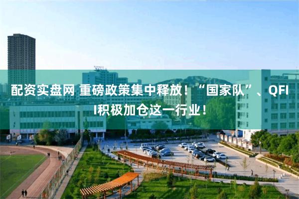 配资实盘网 重磅政策集中释放！“国家队”、QFII积极加仓这一行业！