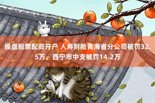 操盘股票配资开户 人寿财险青海省分公司被罚32.5万，西宁市中支被罚14.2万
