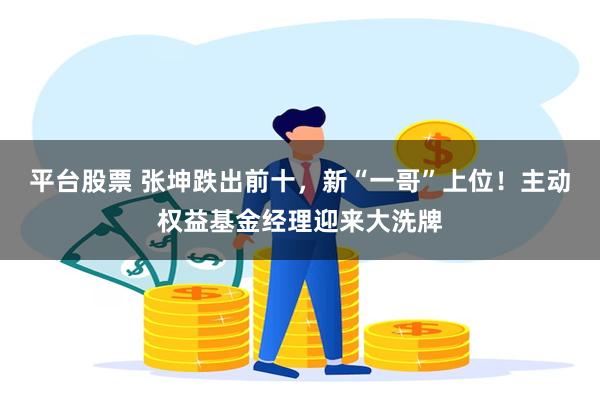 平台股票 张坤跌出前十，新“一哥”上位！主动权益基金经理迎来大洗牌