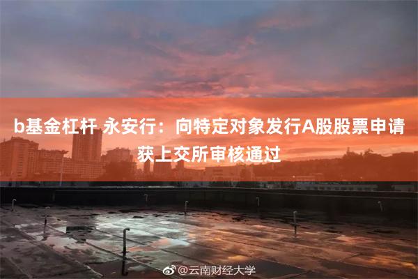 b基金杠杆 永安行：向特定对象发行A股股票申请获上交所审核通过