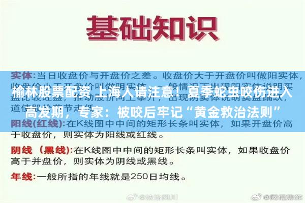 榆林股票配资 上海人请注意！夏季蛇虫咬伤进入高发期，专家：被咬后牢记“黄金救治法则”