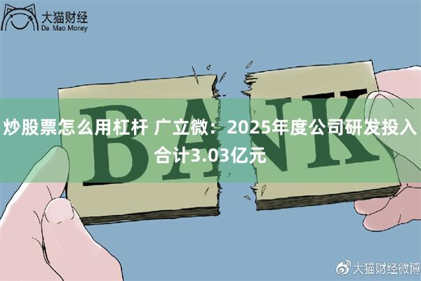 炒股票怎么用杠杆 广立微:2025年度公司研发投入合计3.03亿元