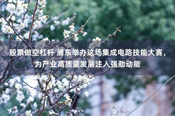 股票做空杠杆 浦东举办这场集成电路技能大赛，为产业高质量发展注入强劲动能