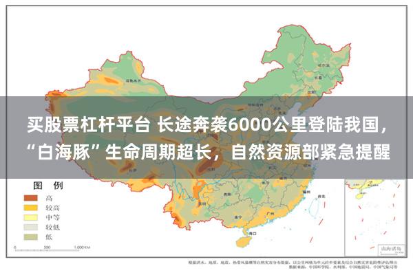 买股票杠杆平台 长途奔袭6000公里登陆我国，“白海豚”生命周期超长，自然资源部紧急提醒