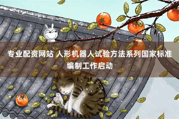 专业配资网站 人形机器人试验方法系列国家标准编制工作启动