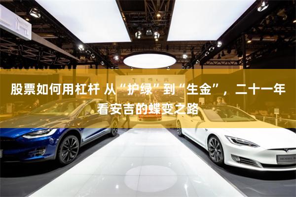 股票如何用杠杆 从“护绿”到“生金”，二十一年看安吉的蝶变之路
