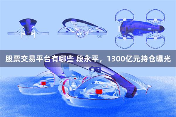 股票交易平台有哪些 段永平,1300亿元持仓曝光