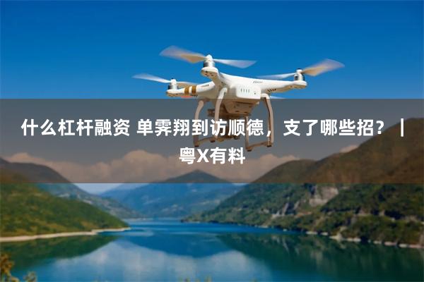 什么杠杆融资 单霁翔到访顺德，支了哪些招？｜粤X有料