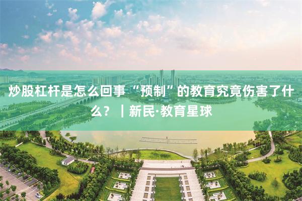 炒股杠杆是怎么回事 “预制”的教育究竟伤害了什么？｜新民·教育星球
