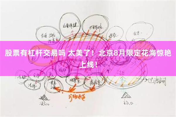 股票有杠杆交易吗 太美了！北京8月限定花海惊艳上线！