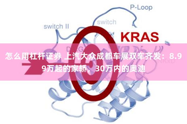 怎么用杠杆证券 上汽大众成都车展双车齐发：8.99万起的家轿，30万内的奥迪