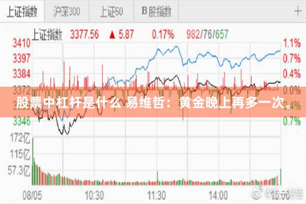股票中杠杆是什么 易维哲：黄金晚上再多一次。
