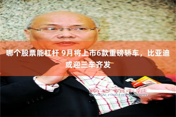 哪个股票能杠杆 9月将上市6款重磅轿车，比亚迪或迎三车齐发