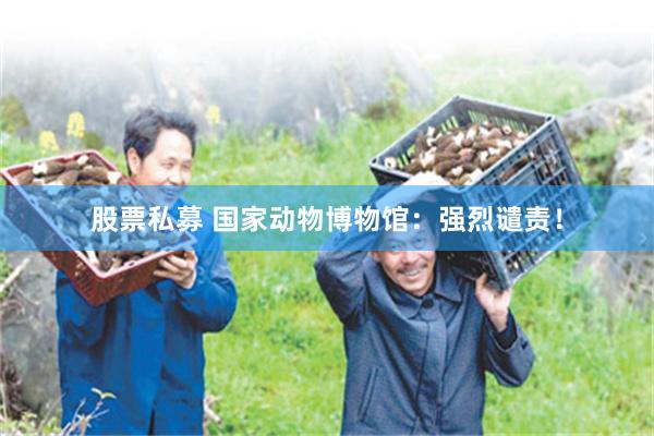 股票私募 国家动物博物馆：强烈谴责！