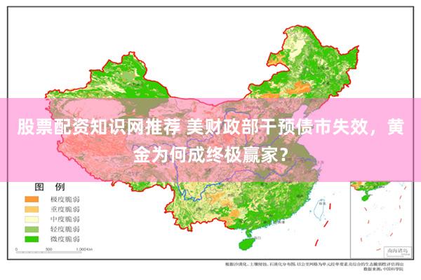 股票配资知识网推荐 美财政部干预债市失效，黄金为何成终极赢家？