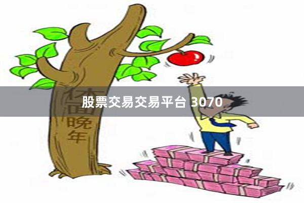 股票交易交易平台 3070